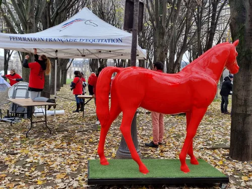 Les professionnels de l’équitation mobilisés : des opérations...