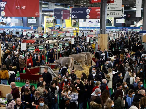 Salon de l’agriculture 2024 : dans quelles conditions va-t-il se...