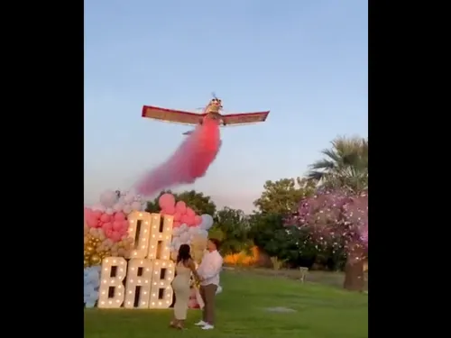 Mexique : le pilote engagé pour leur "gender reveal" se tue, la...