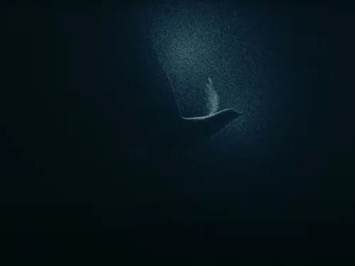 Michael Canitrot dévoile « Lost in The Dark »