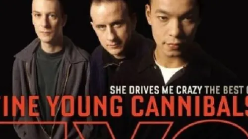 Le Collector du jour : " She Drives Me Crazy " par Fine Young...