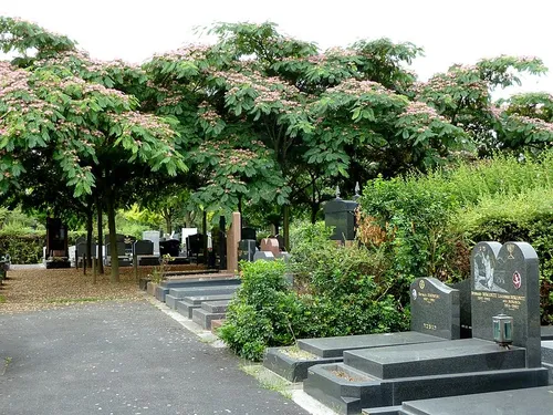 Exhumations à la pelleteuse, vol dans les tombes… la mairie de...