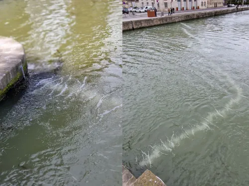 L’espoir d’une Seine baignable grâce à ce nouveau dispositif ? 