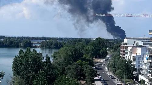 Bordeaux : un feu de prairie sur Bordeaux Nord 