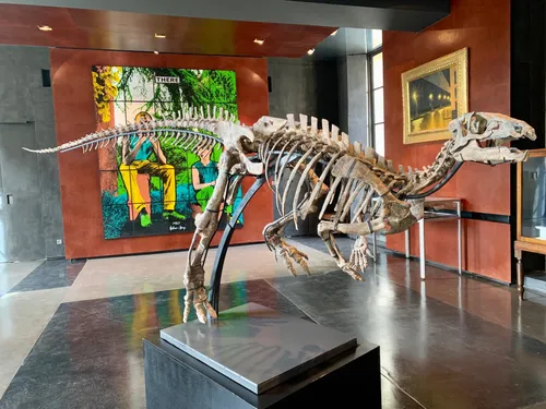 Zéphyr, un squelette d'iguanodon mis aux enchères chez Drouot