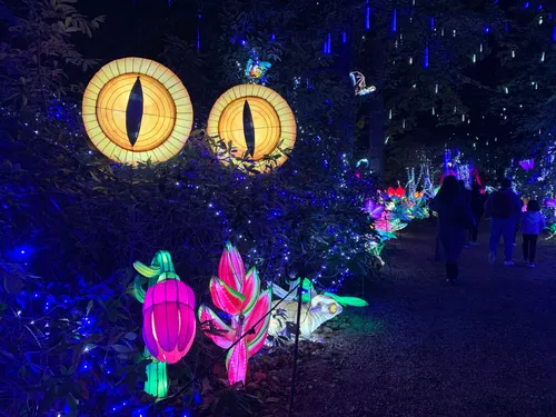 Découvrez la féérie des Lumières Sauvages au zoo de Thoiry