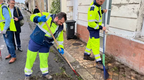 Bordeaux : la ville lance son plan désherbage des trottoirs, voilà...