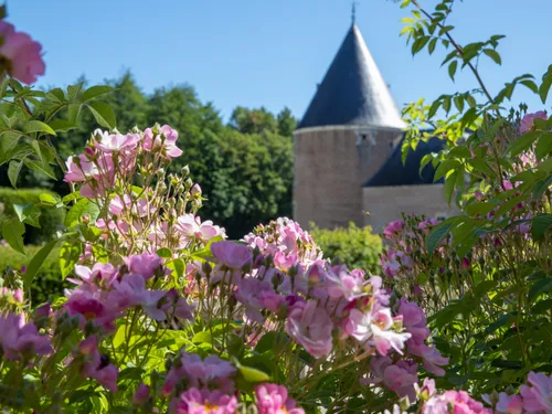 « Près de chez vous » vous emmène sur la route de la Rose dans le...