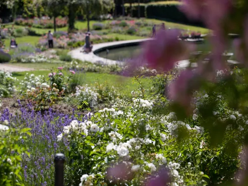 Envie de nature ? La Route de la Rose dans le Loiret vous attend...
