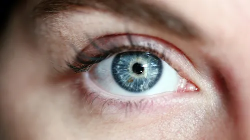 Redonner la vue grâce à un implant cérébral ! 