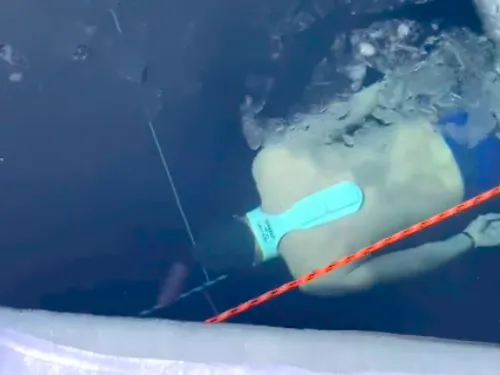 Record : un Français nage 105 m sous la glace en maillot et en...