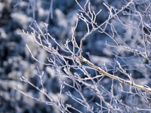 Météo : une fin d’année glaciale ? 