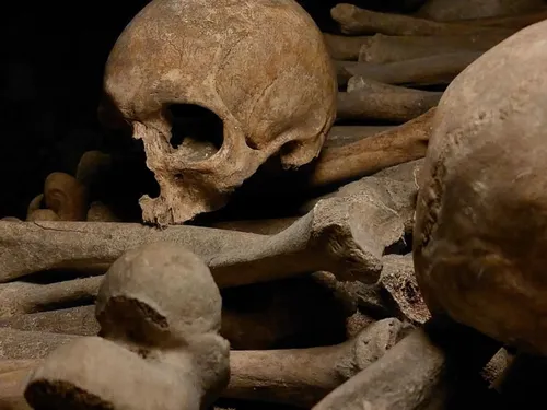 Les Catacombes de Paris rouvrent leurs portes