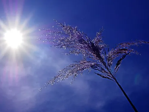 Météo : attention à la chaleur dès mercredi !