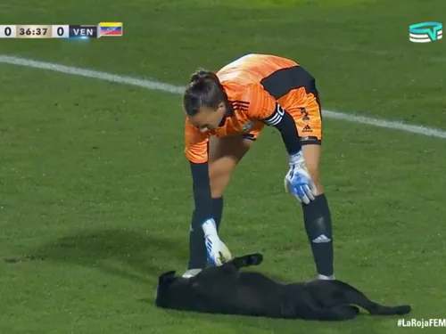 Un chien fait irruption sur le terrain en plein match pour réclamer...