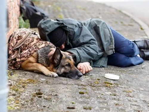 Paris : un SDF porte plainte après qu’on lui ait volé son chien