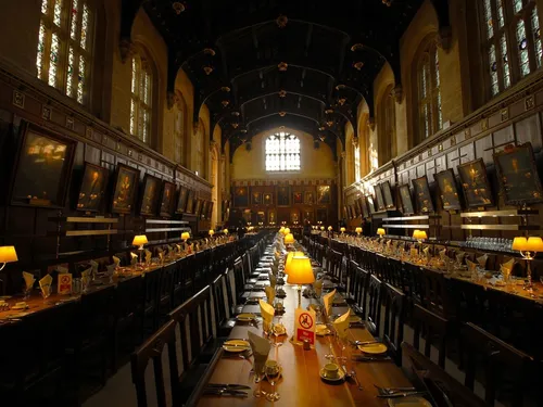 Harry Potter s'empare de Versailles