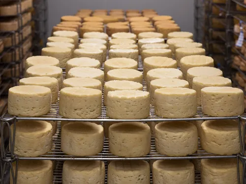 Après les pizzas ou les chocolats : vaste rappel de fromages...