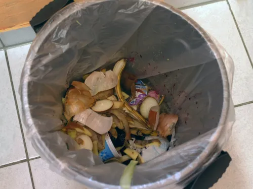 Phenix : une solution contre le gaspillage alimentaire