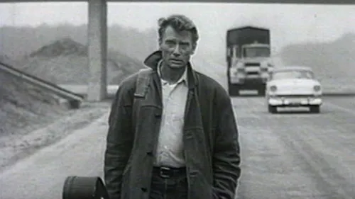 "Quelque chose de Tennessee" : Johnny chante la liberté