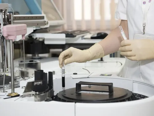 Des scientifiques créent pour la première fois un modèle d'embryon...