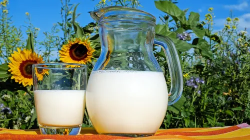 Canicule : le lait, allié inattendu pour mieux s’hydrater