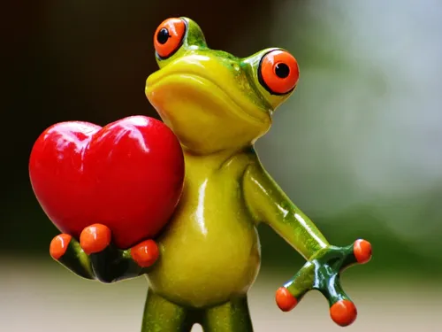 Speed dating, pizza et DJ, c'est la SANS Valentin !