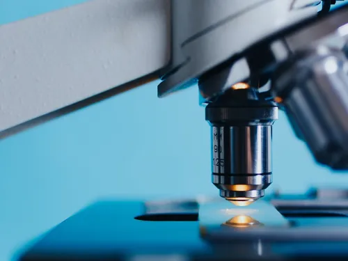Des experts en longévité affirment que la mort sera "facultative"...