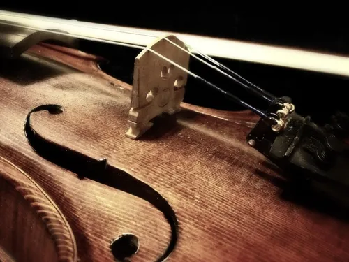 Paris : un violon à 100 000 euros retrouvé dans une poubelle