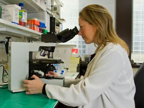À Lyon, une découverte scientifique révolutionne la lutte contre le...