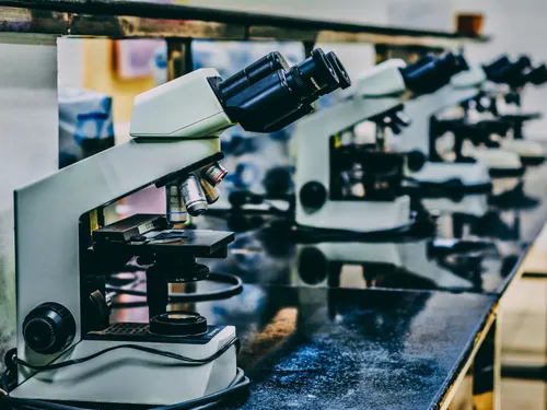 L'immunothérapie : nouvel espoir pour les patients atteints du...