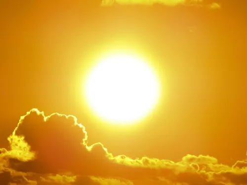 50 scientifiques publient un rapport pour alerter sur les records...