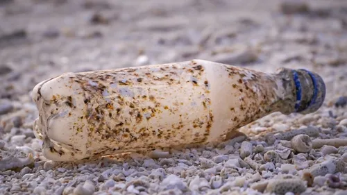 Des chercheurs japonais inventent un plastique qui se dissout dans...