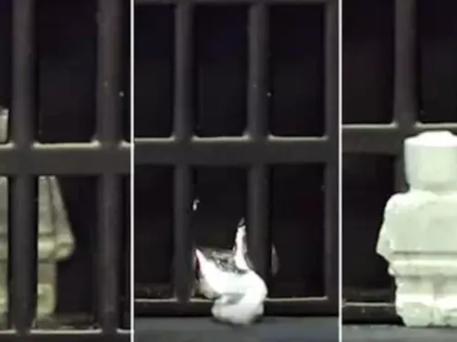 Les scientifiques viennent-ils de créer un robot capable de se...