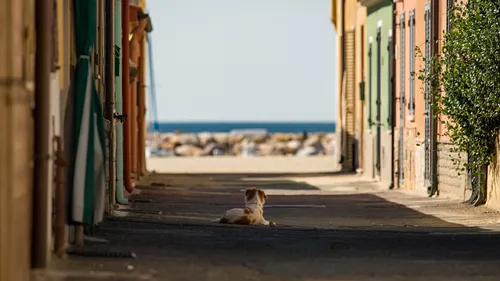 Pourquoi les italiens et les espagnols mettent-ils des bouteilles...