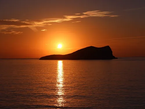 Les 5 titres les plus "shazamés" à Ibiza l'été dernier.