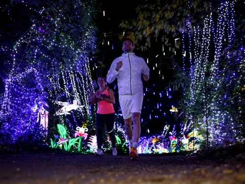 Thoiry Night Race, Playmobil, cartes à jouer… : trois idées de...