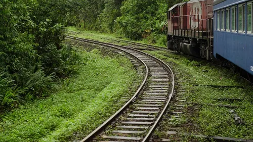 Brésil : un road trip sans train (ou presque)