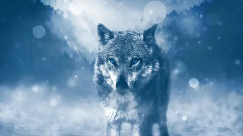 Wolf Gang : le Loup-Garou en version immersive