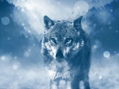 Wolf Gang : le Loup-Garou en version immersive