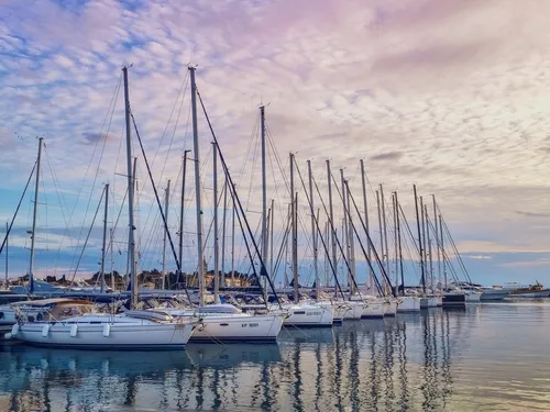 Un été historique pour la location de bateaux