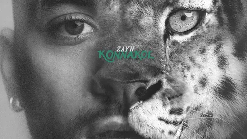 L’ex One direction, Zayn Malik annule sa tournée après son...