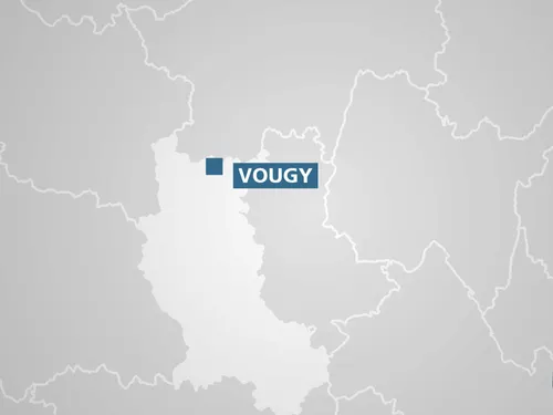 Vougy : une bétaillère se renverse sur la route