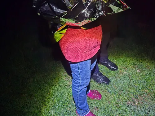 Loire : Une femme de 81 ans atteinte d'Alzheimer retrouvée en vie...