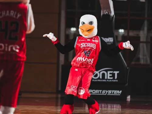 Basket : Le SCABB éliminé de la Coupe de France