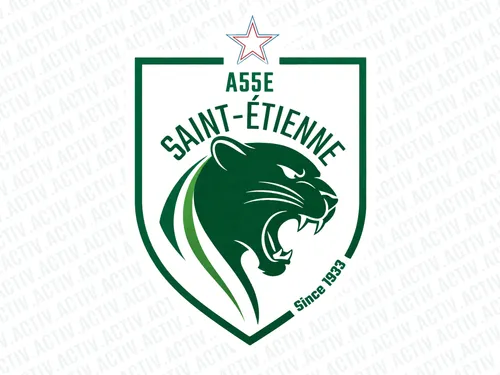 INFO ACTIV : Saint-Etienne changera de logo la saison prochaine