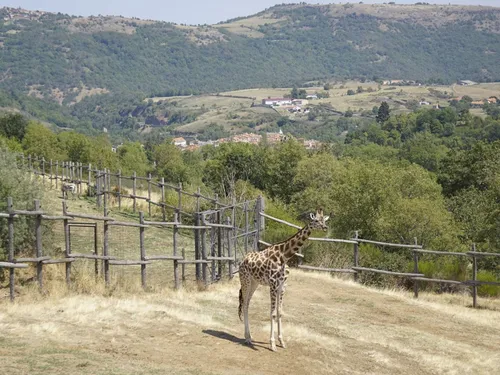 Le Parc Animalier d’Auvergne veut devenir le premier zoo 100 %...