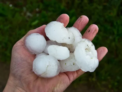 Attention, les grêlons sont de retour dans la Loire ce vendredi ! 