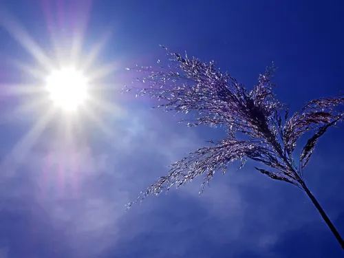 Un ressenti de 62°C au Brésil 