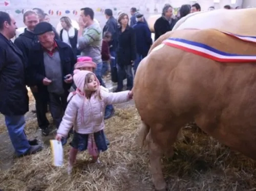 C'est parti pour le comice de Feurs !